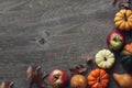 Colorful Fall Thanksgiving Harvest Background with Apples, Pumpkins, Pear Fruit, Leaves, Acorn Squash and Nut Border Over Dark Woo Royalty Free Stock Photo