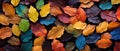 Colorful fallen autumnal leaves adorned in the vibrant hues of a rainbow, Ai Generated Royalty Free Stock Photo