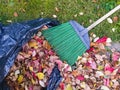 Colorful fallen leaves with garden broom in and near plastic bag Royalty Free Stock Photo