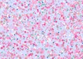 Colorful falling confetti on light , delicate background