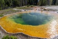 The colorful, famous Morning Glory pool hot spring in Yellowstone National Park USA