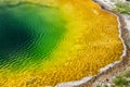 The colorful, famous Morning Glory pool hot spring in Yellowstone National Park USA