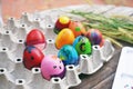 Colorful fancy easter eggs in a tray Royalty Free Stock Photo