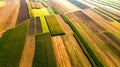 Colorful Farm Fields with Crop. Abstract Patterns. Aerial Drone view