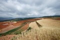 Colorful farmland in dongchuan of china