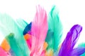 Colorful Feather