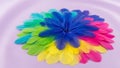 Colorful Feather Artwork Royalty Free Stock Photo