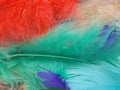 Colorful feather background