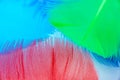 Colorful feather background Royalty Free Stock Photo