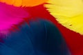 Colorful feather background Royalty Free Stock Photo