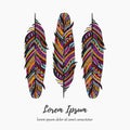 Colorful feather boho illustration