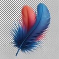 Colorful Feather on Checkered Background Royalty Free Stock Photo