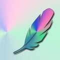 Colorful feather illustration