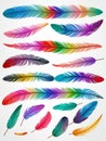 Colorful feather vector set on a white background is a stunning collection featuring a diverse array of vibrant feathers.