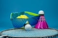 Colorful badminton shuttlecock with sunglasses Royalty Free Stock Photo