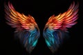 Colorful Feathered Wings Against a Black Background