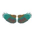 Colorful feathered wings in a symmetrical arrangement. Vibrant bird wings design with detailed patterns. Fantasy or