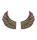 Colorful feathered wings on white background. Mythical bird wings for costume design. Fantasy, magic, and fairytale