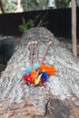 Colorful Feathered Wooden Arrows Wait on Fallen Tree for Archer