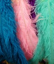 Colorful aquamarine, blue and light pink feathers Royalty Free Stock Photo