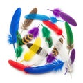 Of colorful feathers is arranged in a circular pattern on a white Royalty Free Stock Photo