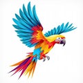 Colorful feathers on the back of parrot. Scarlet macaw bird on white background. Blue, yellow, red, purple colors Royalty Free Stock Photo