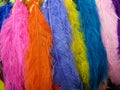 Colorful feathers - blue, pink, orange, yellow and purple. Royalty Free Stock Photo