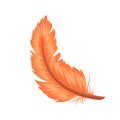 Colorful feathers. Cartoon and flat style. Vector illustration on white background.