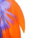 Colorful feathers closeup - orange, purple