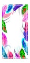 Colorful feathers frame design with space for text in the center. Various vibrant abstract feathers border. Modern