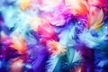 Vibrant Feathers on Colorful Background. Generative AI Royalty Free Stock Photo