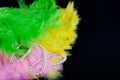 Colorful feathers and white perl necklace lay on black background