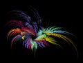 Colorful feathers are woven into a wreath and diverge in different directions on a black background. Element of graphic design. Royalty Free Stock Photo