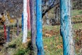 Colorful fence in the countryside