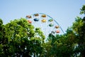 Colorful ferris wheel of the amusement park in the blue sky background and green trees Royalty Free Stock Photo