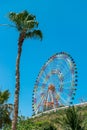 Colorful Ferris wheel on a hill with a palm tree in amusement park Royalty Free Stock Photo