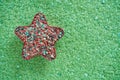 Colorful fertilizer in red star shape on green magnesium fertilizer background. Royalty Free Stock Photo