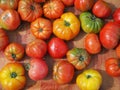 colorful tomatoes