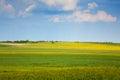 A colorful field under a blue sky