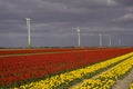 Colorful field and windturbine