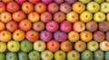 Colorful figs arranged in a grid pattern Royalty Free Stock Photo