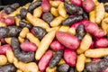 Colorful fingerling potatoes at the market