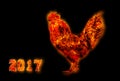 Colorful Fire rooster. symbol of the Chinese New Year. Fire bird, red cock. Happy New Year 2017 card