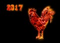 Colorful Fire rooster. symbol of the Chinese New Year. Fire bird, red cock. Happy New Year 2017 card