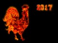 Colorful Fire rooster. symbol of the Chinese New Year. Fire bird, red cock. Happy New Year 2017 card