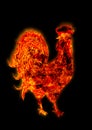 Colorful Fire rooster. symbol of the Chinese New Year. Fire bird, red cock. Happy New Year 2017 card