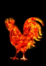 Colorful Fire rooster. symbol of the Chinese New Year. Fire bird, red cock. Happy New Year 2017 card