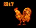 Colorful Fire rooster. symbol of the Chinese New Year. Fire bird, red cock. Happy New Year 2017 card
