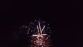 Colorful Firework display background at night Royalty Free Stock Photo