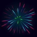 Colorful firework vector